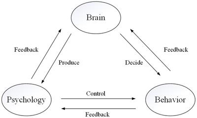 Neuro-safety science: an emerging discipline to reveal the neural mechanisms of safety problems